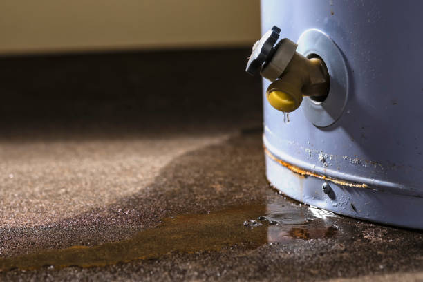 Best Ceiling water damage repair  in Page, AZ