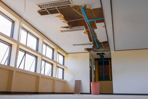 Best Emergency water damage restoration  in Page, AZ