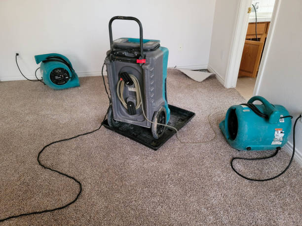Best Basement water damage restoration  in Page, AZ