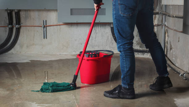 Best Residential water damage restoration  in Page, AZ