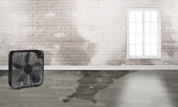 Best 24-hour water damage restoration  in Page, AZ