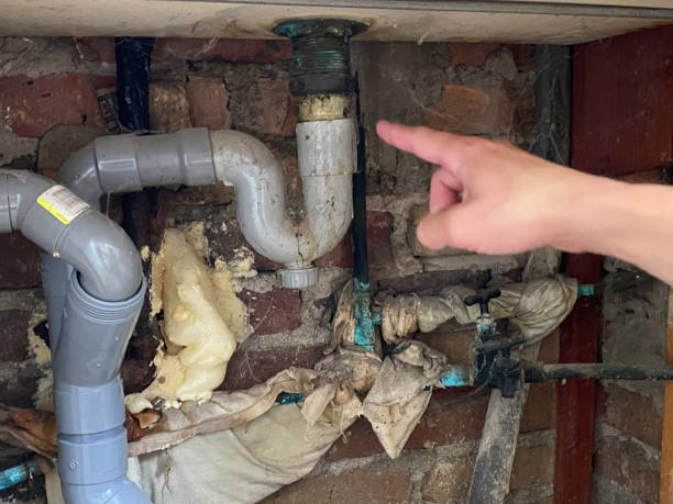 Best Flood damage cleanup  in Page, AZ