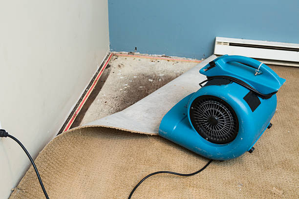 Best Emergency water damage restoration  in Page, AZ